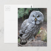 Owl Briefkaart (Voorkant / Achterkant)