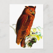 Owl Briefkaart (Voorkant)