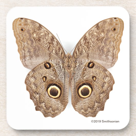 Owl Butterfly Bier Onderzetter (Voorkant)