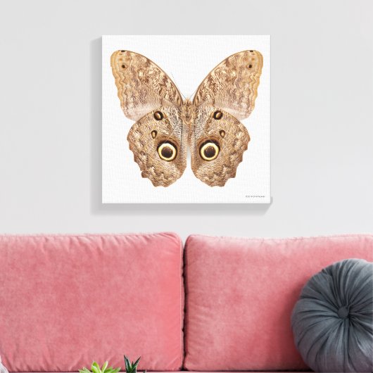 Owl Butterfly Canvas Afdruk (Insitu (Woonkamer))