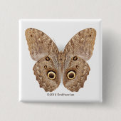 Owl Butterfly Vierkante Button 5,1 Cm (Voorkant)