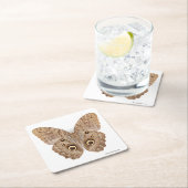 Owl Butterfly Vierkante Kartonnen Onderzetter (Insitu)
