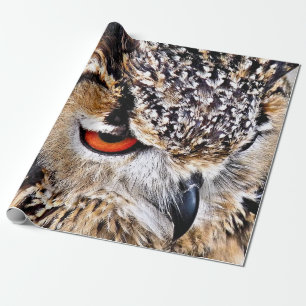 OWL CADEAUPAPIER
