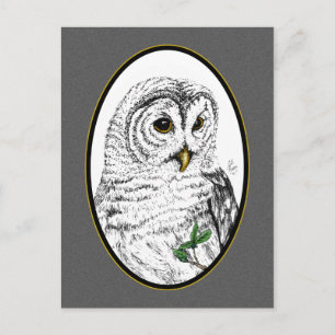 Owl Cameo Briefkaart