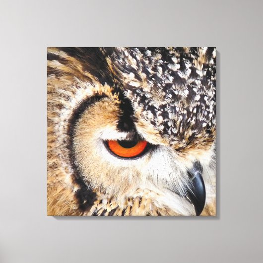 OWL CANVAS AFDRUK (Voorkant)