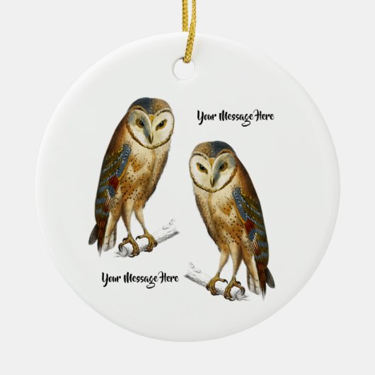 Owl chouette effraie vogel Keramisch Ornament (Voorkant)