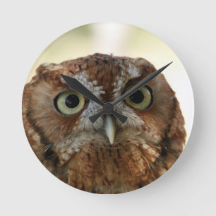 Owl Clock Ronde Klok
