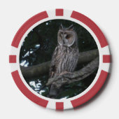 Owl Close-up Poker Chip (Voorkant)