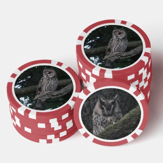 Owl Close-up Poker Chip (Opstapeling)