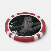 Owl Close-up Poker Chip (Enkel)