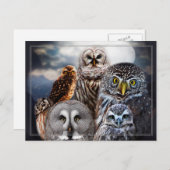 Owl Collage Briefkaart (Voorkant / Achterkant)