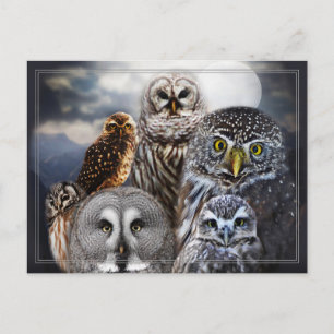 Owl Collage Briefkaart