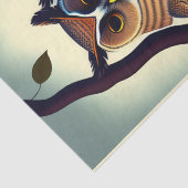 Owl Coupesillustratie Afgiftepapier Tissuepapier (Detail)