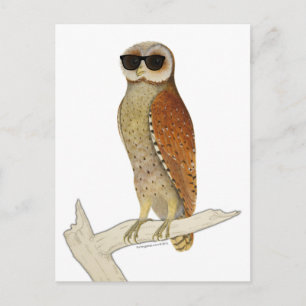 Owl die zonnebrillen draagt Briefkaart