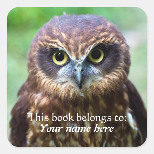 Owl "Dit boek behoort tot" Sticker (Voorkant)