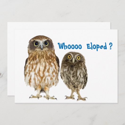 Owl Duo die ophield Aankondiging (Voorkant / Achterkant)