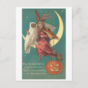 Owl en heks briefkaart