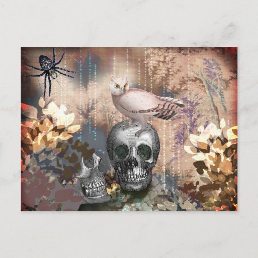 Owl en Skulls Halloween Briefkaart (Voorkant)