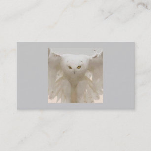 OWL EN VOL CARTES DE VISITE
