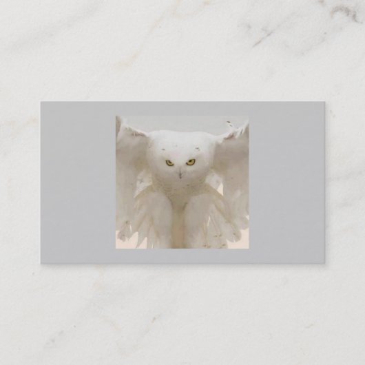 OWL EN VOL CARTES DE VISITE (Devant)
