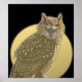 Owl en volle maan poster (Voorkant)