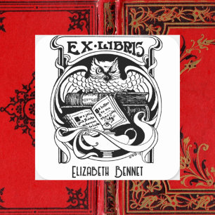 Owl Ex Libris-bladwijzer Vierkante Sticker