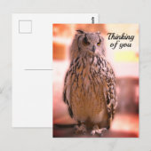 Owl experience Somerset Thinking of You Briefkaart (Voorkant / Achterkant)