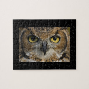 Owl Eyes Legpuzzel