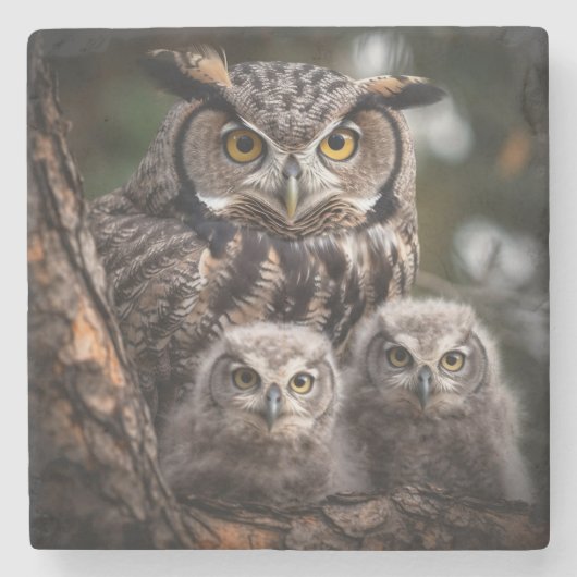 Owl Family Stone Onderzetter (Voorkant)