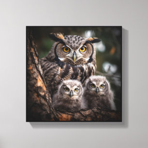 Owl Family Stretted Canvas Print