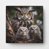 Owl Family Tabletop Plaque met Easel Fotoplaat (Voorkant)