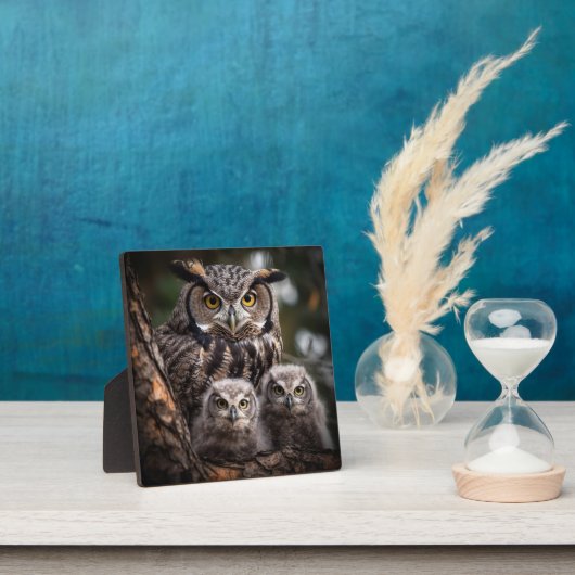 Owl Family Tabletop Plaque met Easel Fotoplaat (Insitu)