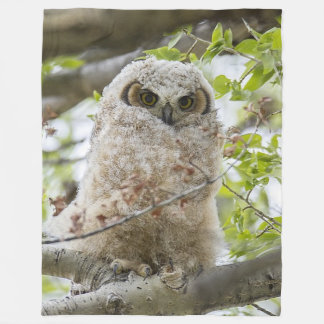 Owl Fleece Blanket