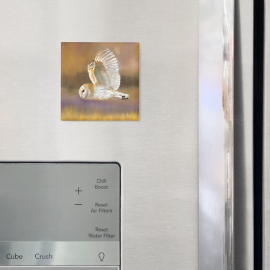 Owl Flying Magnet (In situ (réfrigérateur))