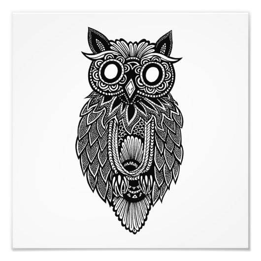 Owl Foto Afdruk (Voorkant)