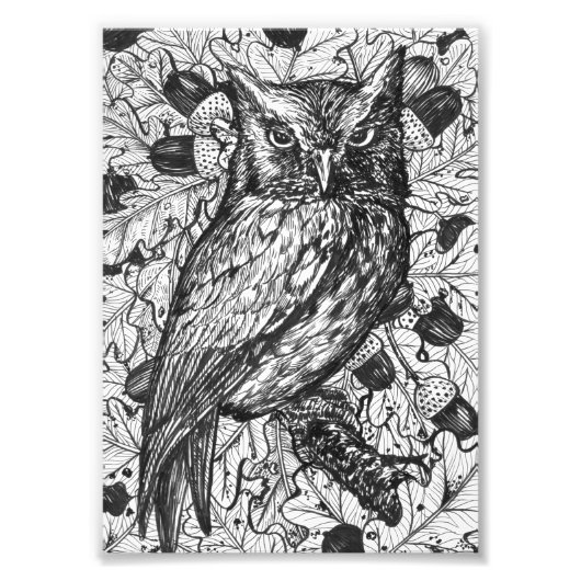 Owl Foto Afdruk (Voorkant)