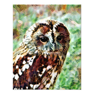 OWL FOTO AFDRUK