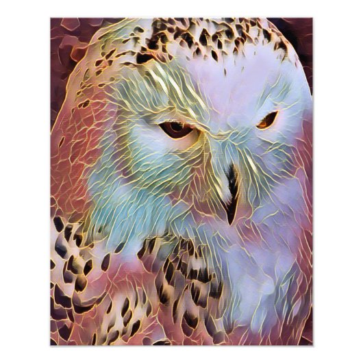 OWL FOTO AFDRUK (Voorkant)