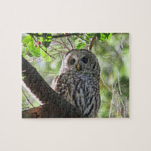 Owl Foto Legpuzzel
