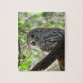 Owl Foto Legpuzzel (Verticaal)