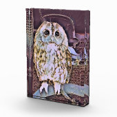 OWL FOTOBLOKKEN (Rechts)