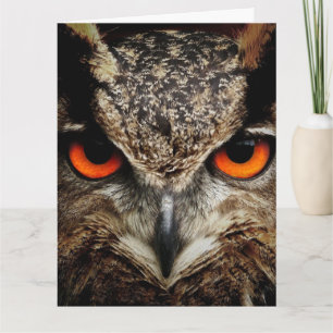 OWL-fotografie overmaatse BIRTHDAY-KAART Kaart
