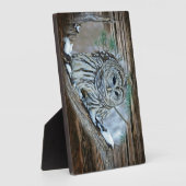 Owl Fotoplaat (Zijkant)