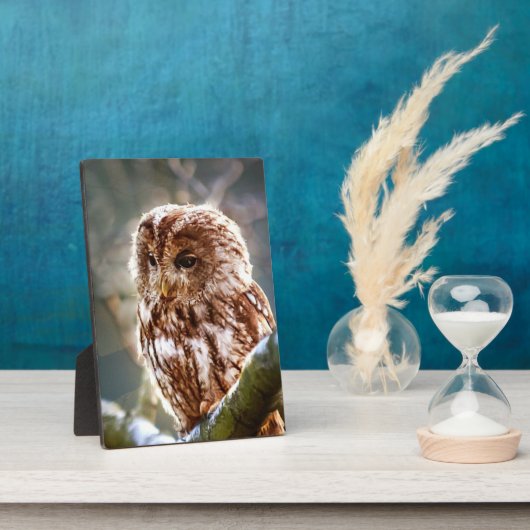 Owl Fotoplaat (Zijkant)