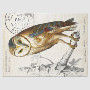 Owl  Franse poststempel Tissuepapier