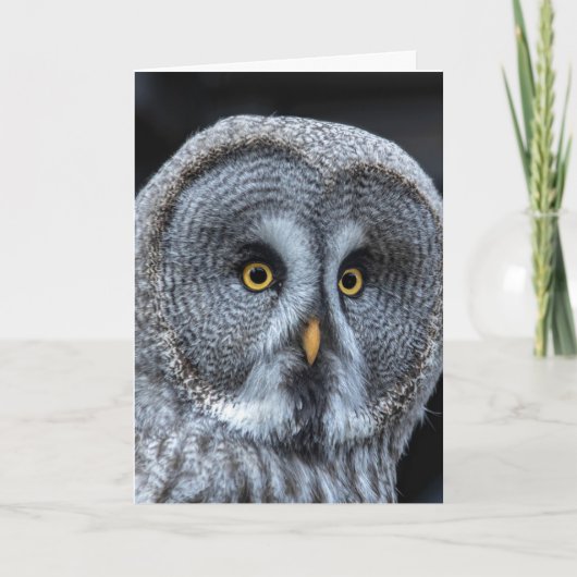 OWL FUNNY CUTE CARTE D'ANNIVERSAIRE (Devant)