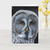 OWL FUNNY CUTE CARTE D'ANNIVERSAIRE (Fleur jaune)