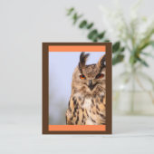 Owl glimlachen Briefkaart (Staand voorkant)