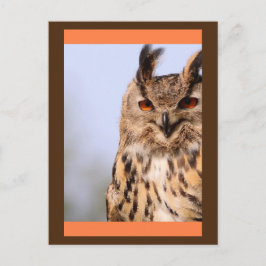 Owl glimlachen Briefkaart