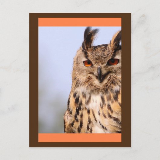 Owl glimlachen Briefkaart (Voorkant)